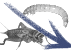 Lebendfutter Lebendfutter