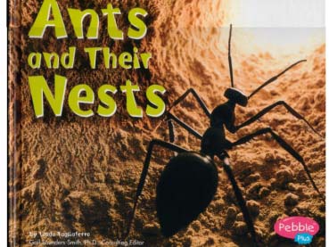 Buch: Ants and Their Nests