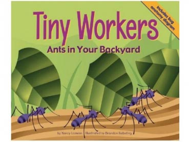 Buch: Tiny Workers