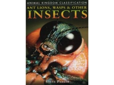 Buch: Ant Lions, Wasps & Other Insects