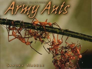 Buch: Army Ants