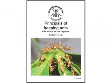 Broschüre: Principals of keeping ants