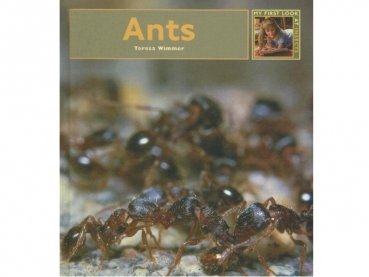 Buch: Ants - Teresa Wimmer