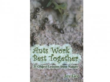 Buch: Ants Work Best Together - 31 Object Lessons from Nature