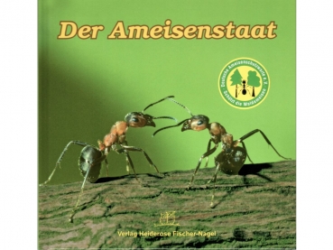Buch: Der Ameisenstaat