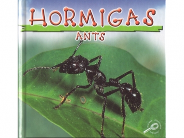 Buch: Hormigas / Ants