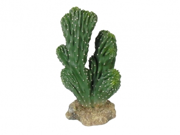 Kaktus - 19cm