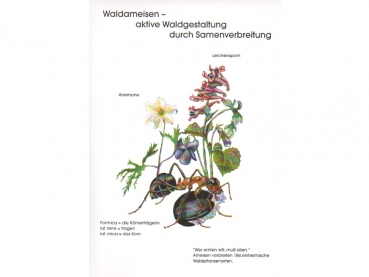 Poster: Waldameisen - aktive Waldgestaltung