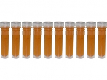 Waldhonig in 2ml Futterröhrchen - 10 St.