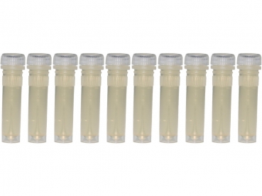 Wüstenhonig in 2ml Futterröhrchen - 10 St.