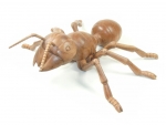 Ameise aus Holz - flach - 40cm