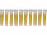 Regenwaldhonig in 2ml Futterröhrchen - 10 St.