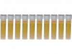 Wiesenhonig in 2ml Futterröhrchen - 10 St.